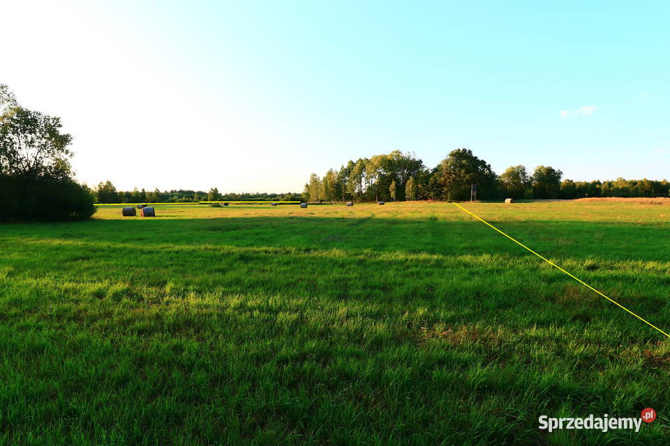 Działka łąka w pobliżu Białej Podlaskiej lubelskie