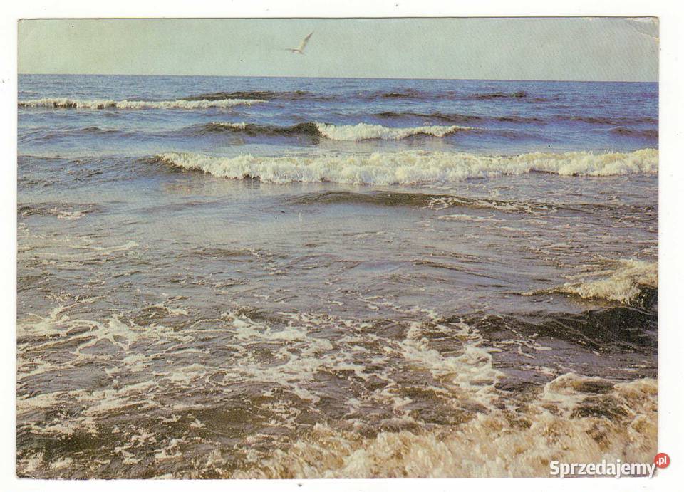 MORZE BAŁTYCKIE 21 świętokrzyskie Krynki