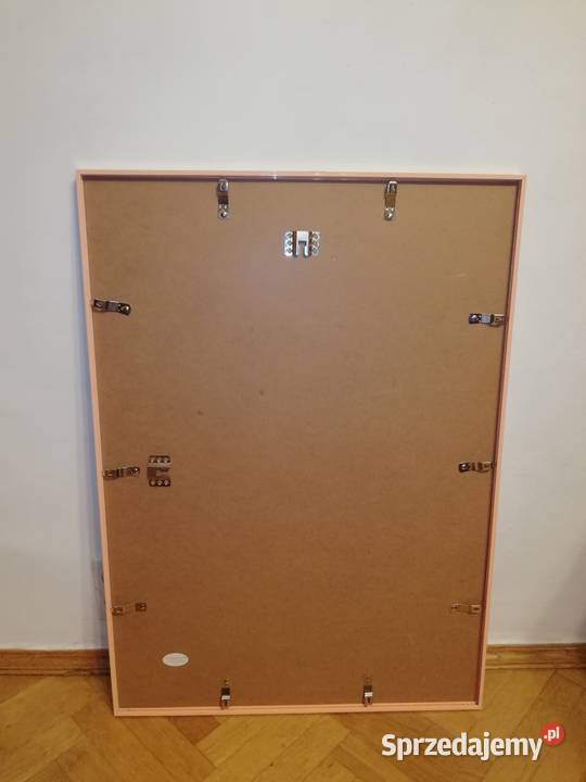 Słonie obraz w aluminiowej ramie Warszawa