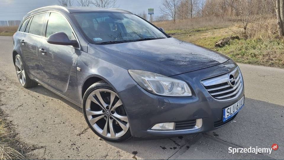 Opel Insignia 20CDTi 130 PANORAMA możliwa Zabrze