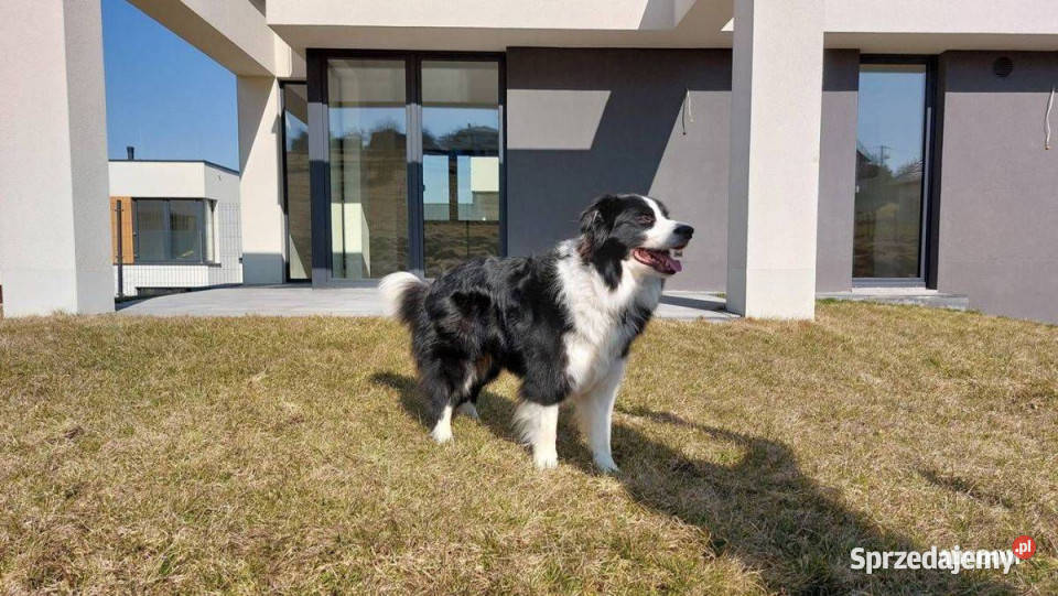 Nowy dom wolnostojący garaż na 2 auta Wrząsowice