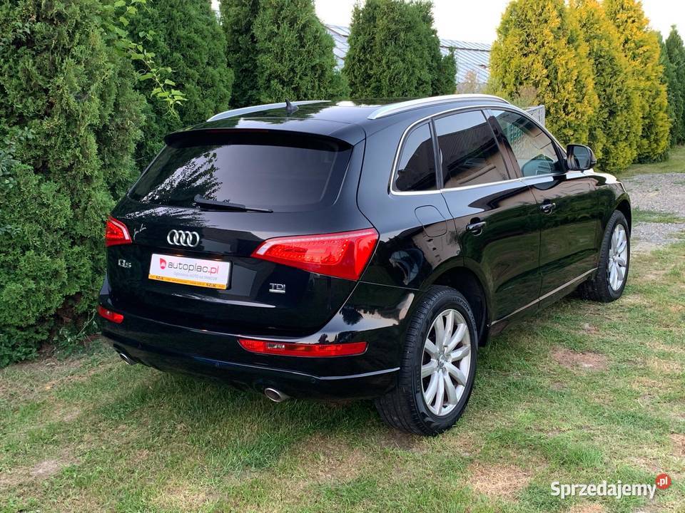 Audi Q5 30 TDI 240 QUATTRO LED BiXENON NAVI CD Lubaczów