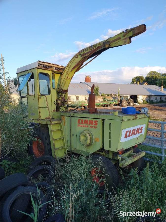 Sieczkarnia samojezdna CLAAS JAGUAR 70 SF Strzelce Krajeńskie sprzedam