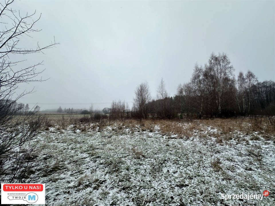 Sprzedaż działki Śladków Duży 43100m2 rolna