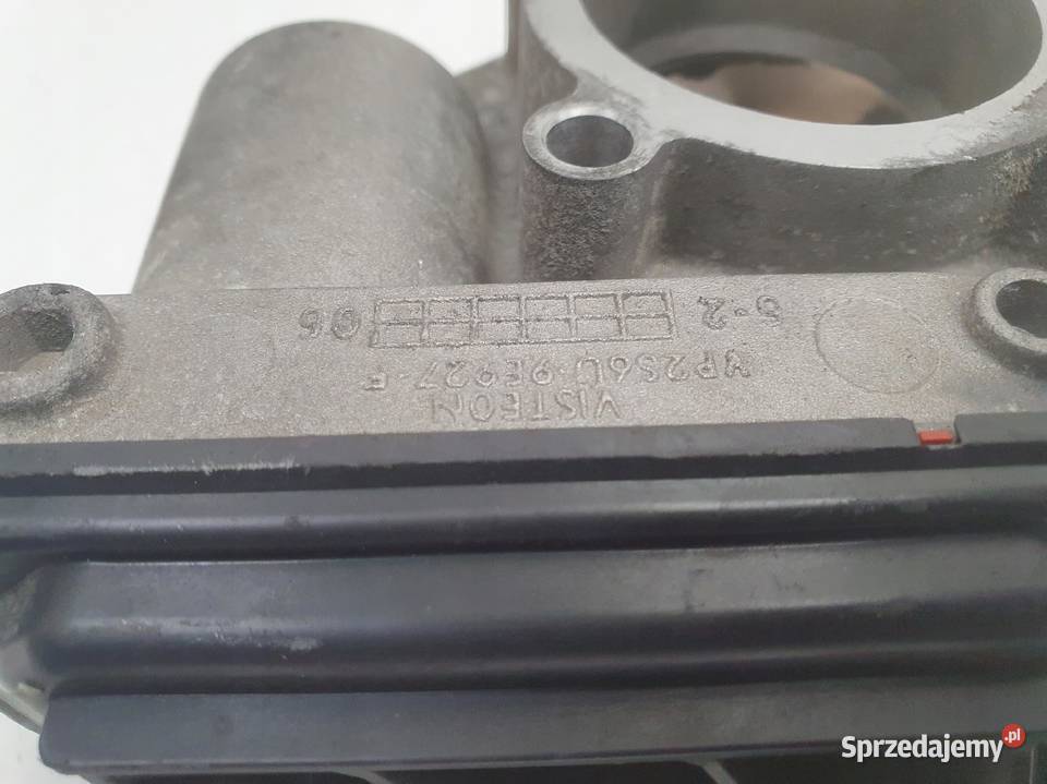 PRZEPUSTNICA Ford Focus MK2 16 16V VP4F9U 9E928 Chełm sprzedam