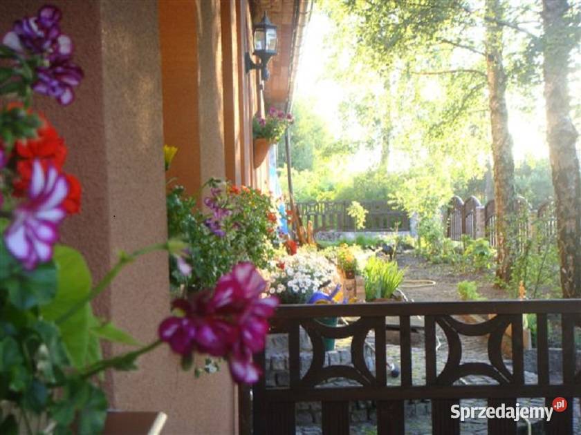 budynek mieszkalny mozliwe prowadzenia cegła Borne Sulinowo