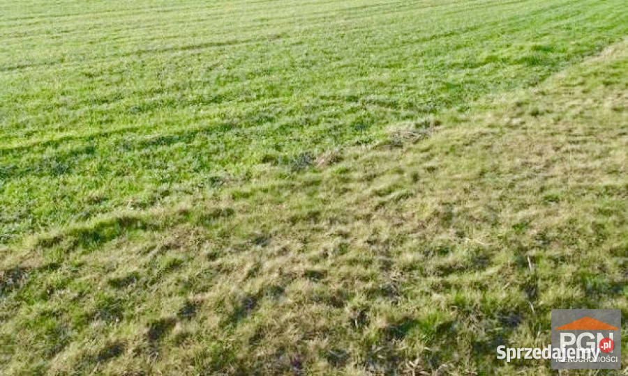 sprzedaży działki 2711m2 Płoty 23zł/m2