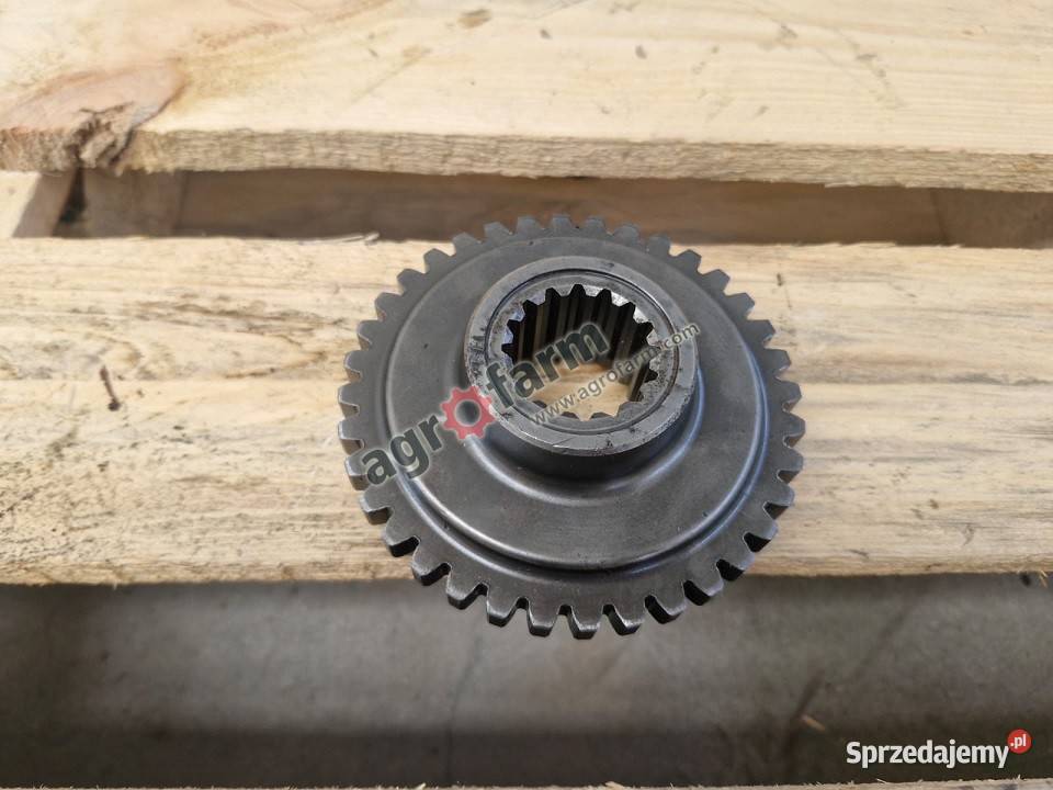 Koło zębate Lamborghini R2 RS Byków