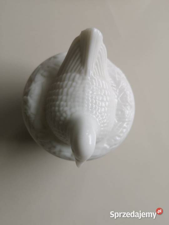 Bombonierka Gołąb Toruń