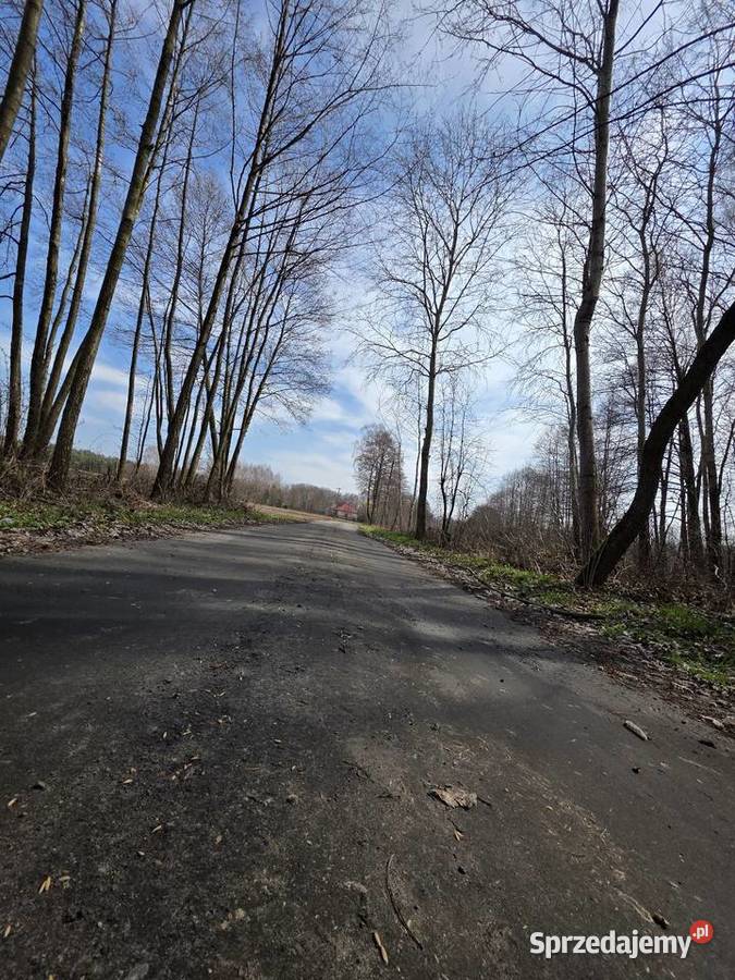 Działka rolna z możliwością budowy w uroczej Bardzynin