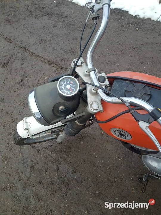 Wsk kos Błotnowola sprzedam