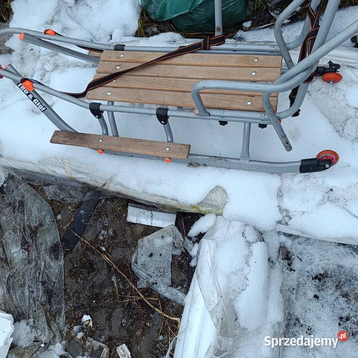 Sanki Teo Gigi Baranów Sandomierski