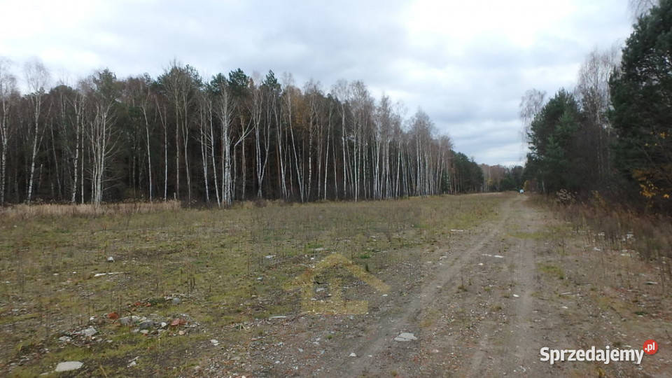 Działka budowlana w gminie Wiazowna Żanecin