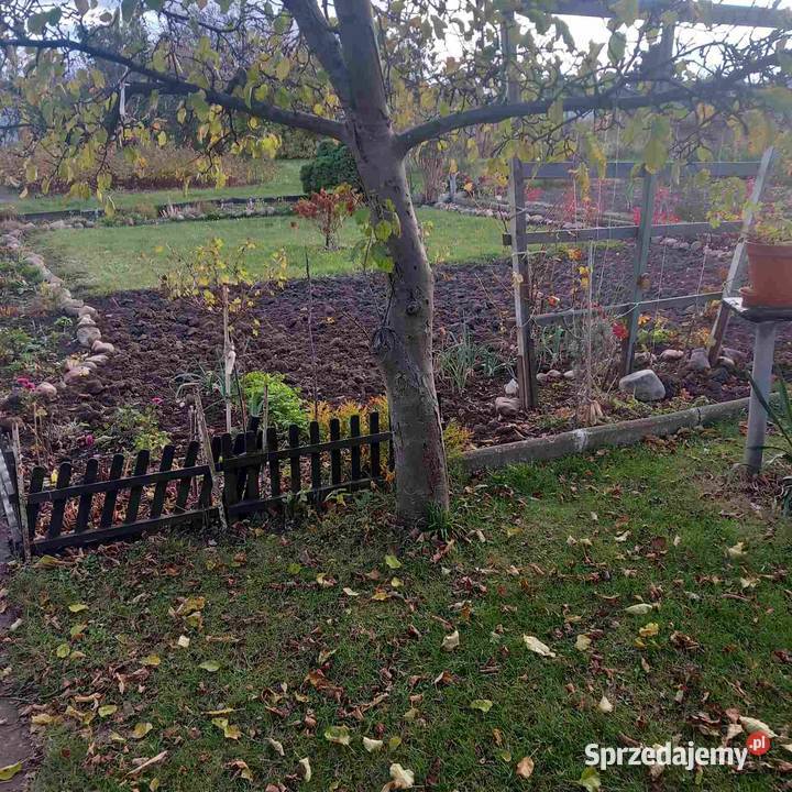 Sprędam działkę Świdnica Zadbana Świdnica Polska sprzedam