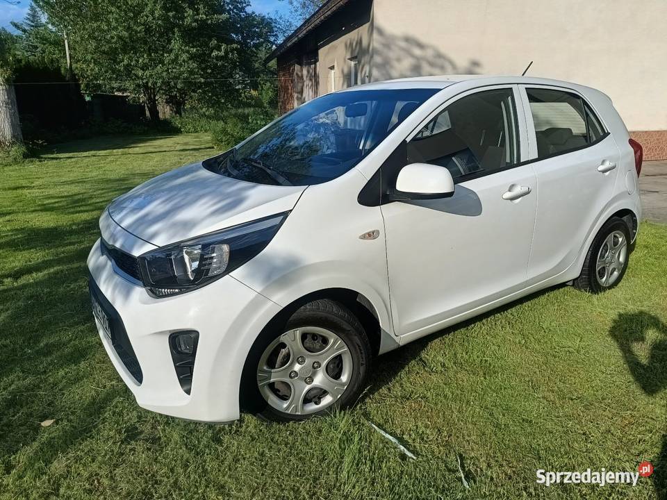 Kia Picanto model 2019 Serwisowany Hatchback Picanto Skoczów sprzedam