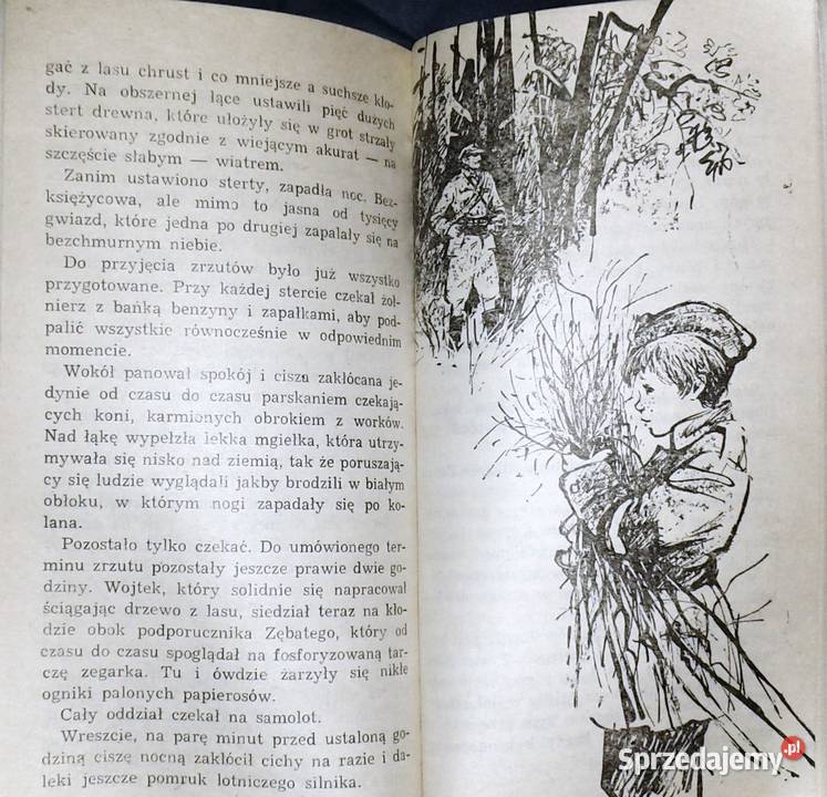 Wojtek Warszawiak Andrzej Perepeczko Chełm sprzedam