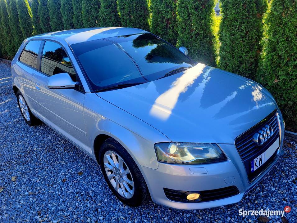 Audi A3 Lift CLIMATRONIC Xenon Alu Podgrzewane Kraków sprzedam