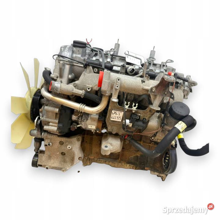 SILNIK 665925 Ssangyong Rexton Kyron Rodius 27 Chełm