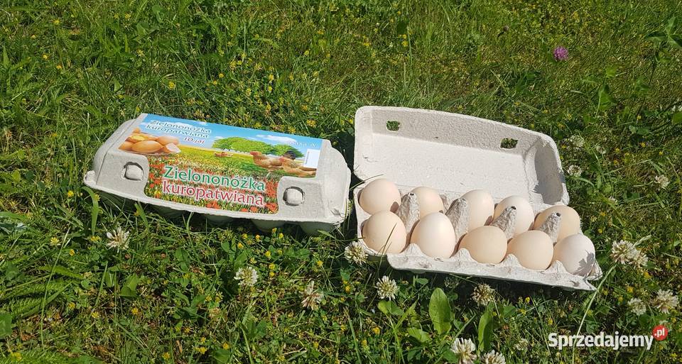 Wytłaczanki etykieta Zielononóżka Opakowania na Czaple