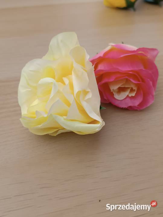 Róże rozwinięte 8 5902388316 AD BK kolory kwiaty Zagnańsk