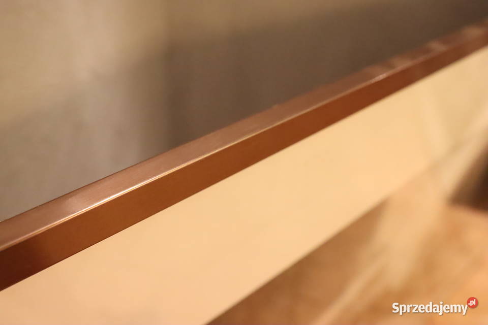 Komplet pięknych fotografii w metalowych ramach Obrazki i obrazy Pszczyna sprzedam