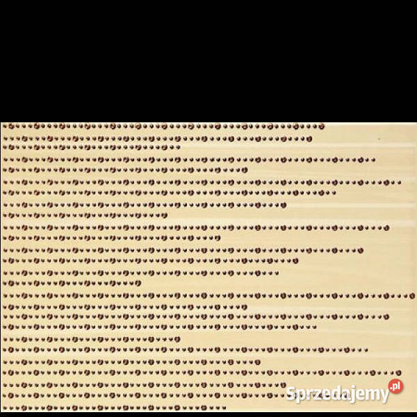 Cado 3B dekor 25 x 36 Domino Tubądzin aktualne Płytki ścienne