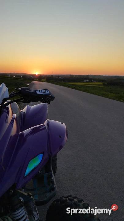 Sprzedam Dinli Polaris Subaru 450 Bogoria