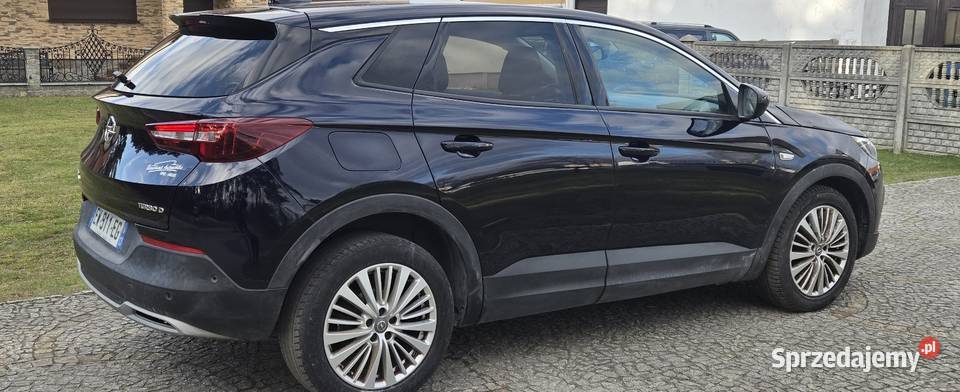 Opel Grandland X wielkopolskie Leszno
