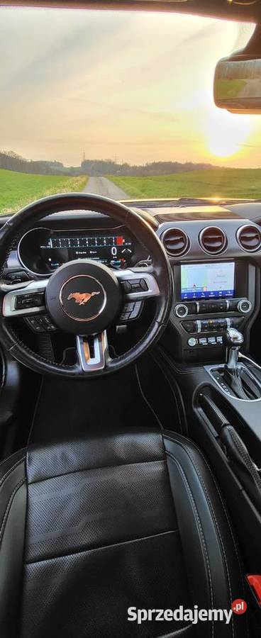 Ford Mustang 50 GT 450 koni Automat Mustang Mikołów