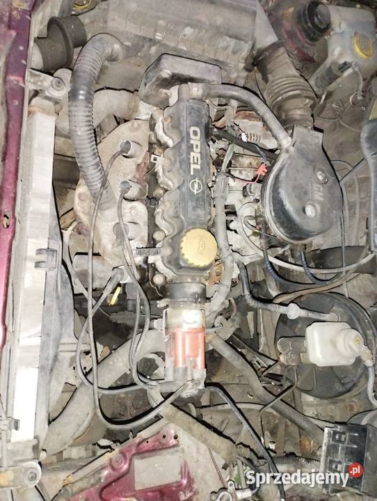 Astra f na części 14 8v Rok produkcji 1998 Sosnowiec
