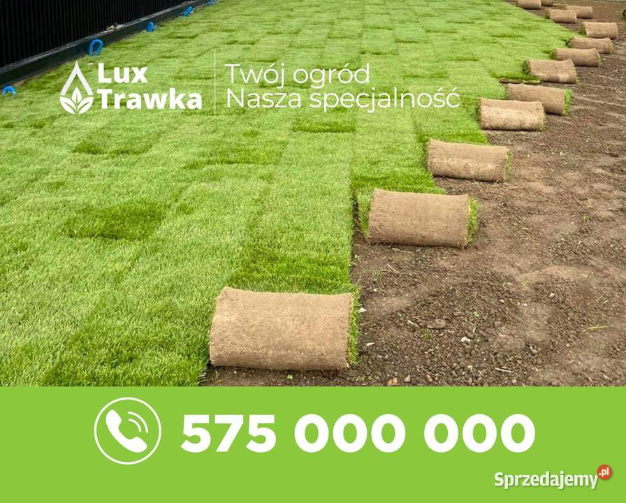 Trawa w rolce Dostawa na terenie całej Rabka-Zdrój