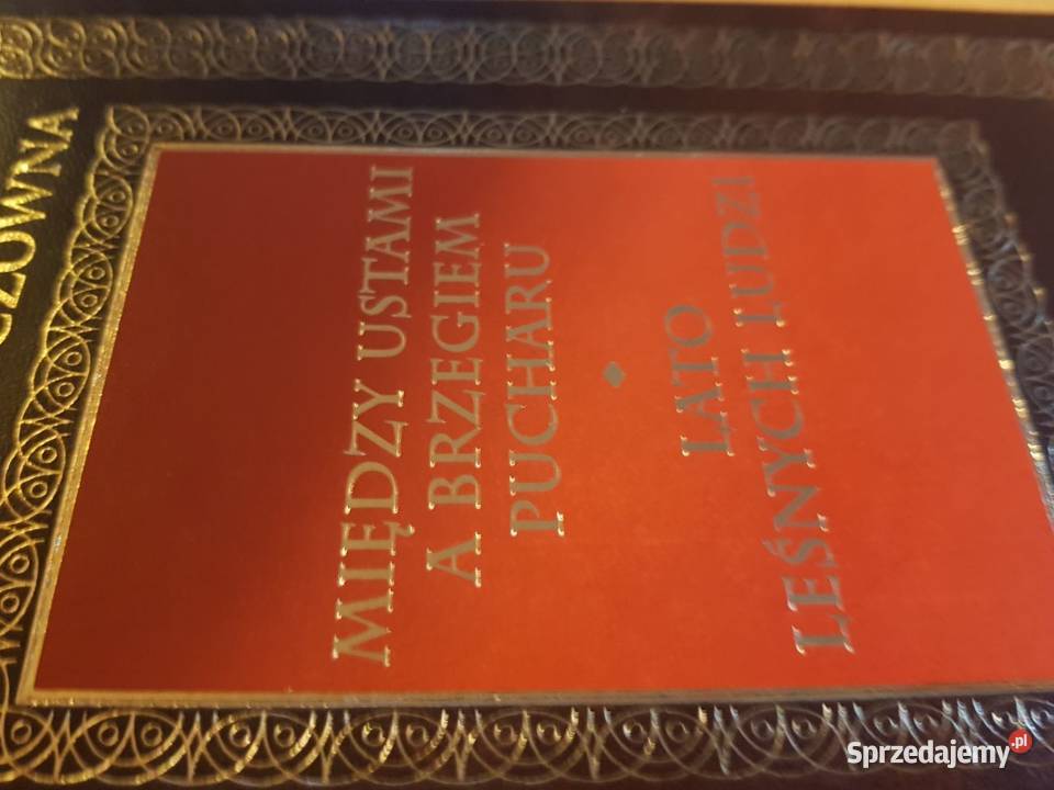 rodziewiczówna między ustami a brzegiem pucharu ISBN 9788378799764 Kielce