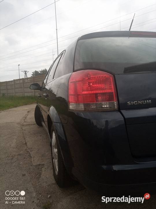 Sprzedam Opel Signum Lpg Przęsocin sprzedam