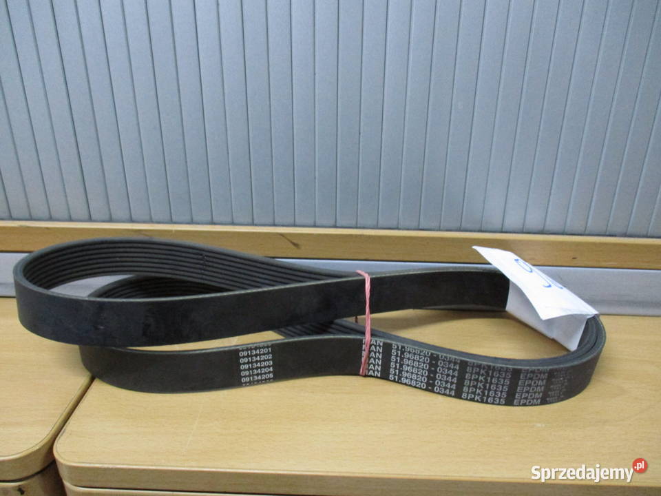 Pasek klinowy rowkowany Man 51968200344