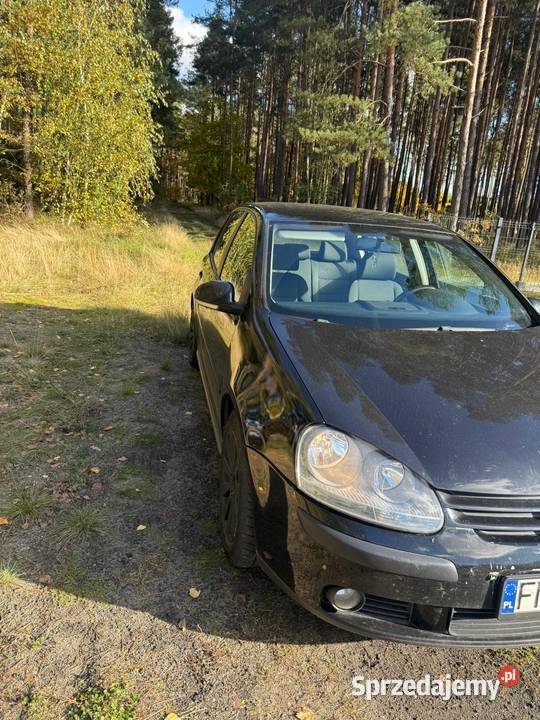 Volkswagen Golf 5 19