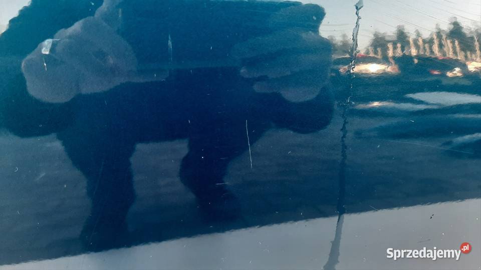 Drzwi Prawy Przód NISSAN PRIMERA P11 K LIFT 99 osobowe wielkopolskie Nowy Tomyśl