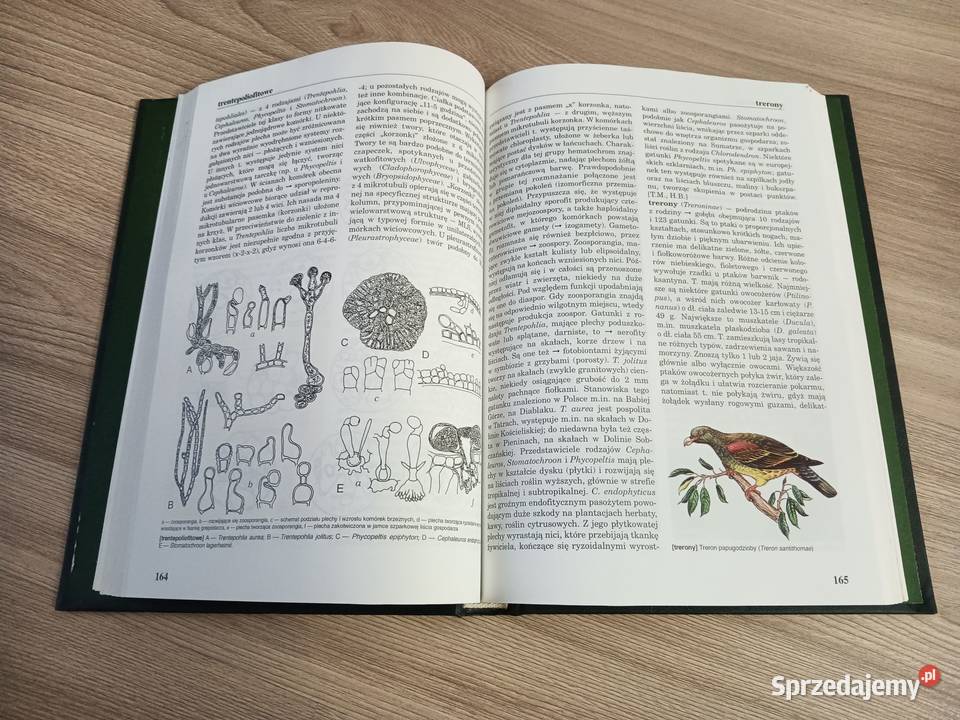 Encyklopedia Biologiczna Tom XIII Suplement Kraków