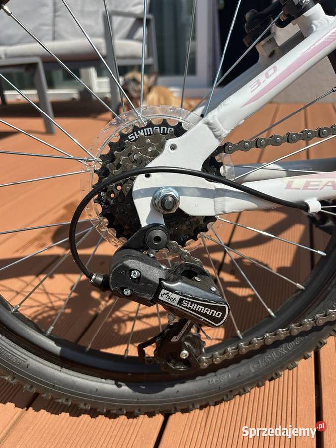 Rower dziecięcy KROSS Lea Mini 31 Light 68 lat Wrocław