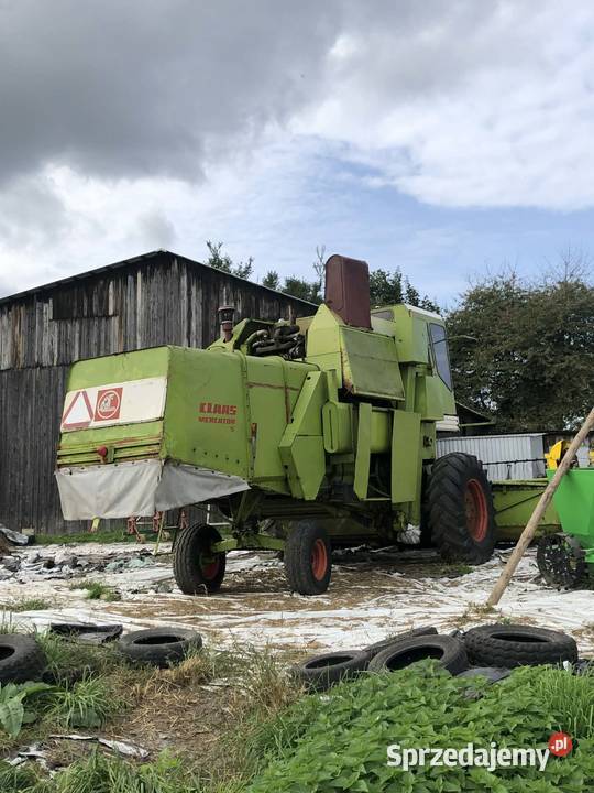 Kombajn zbożowy Claas Mercator S Czesławice