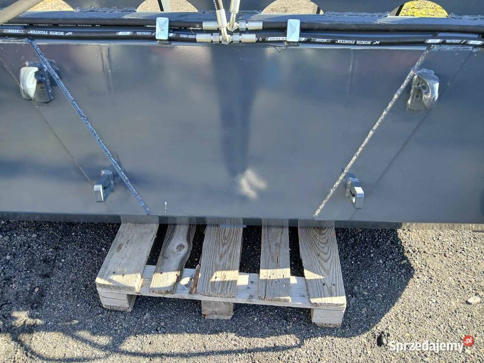 Łycho Krokodyl ząb palony sprzedam