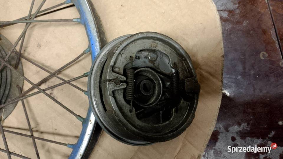 Koło jakwak kaczka Namysłów