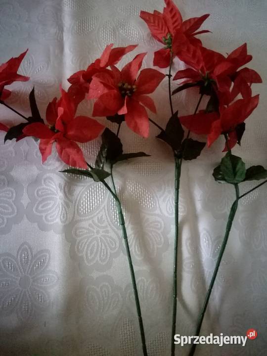 Kwiaty sztuczne 3 gwiazdy betlejemskie na łodyce