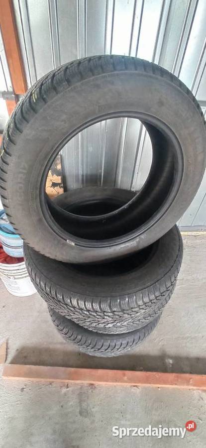 Opony zimowe 215 60 17 Nokian Staszów
