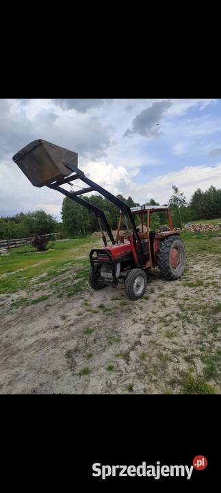 Massey Ferguson 135 Lubartów sprzedam