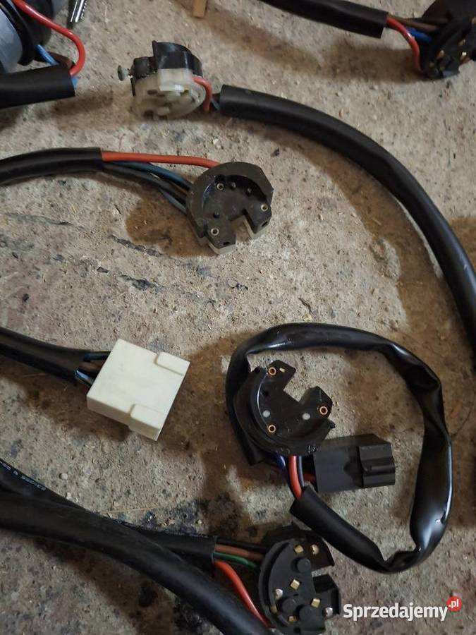 Polonez kostka stacyjki Żory