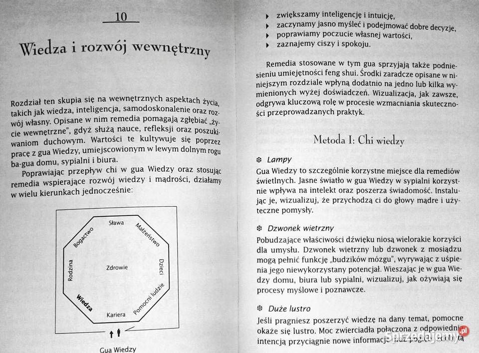 Podręcznik feng shui Wiedza i praktyka Daniel Chełm