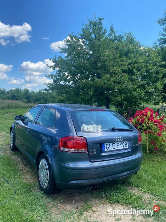 Audi A3 8P 2003r diesel warmińsko-mazurskie