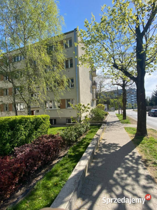 Mieszkanie remoncie w super lokalizacji Piętro 3 Poznań