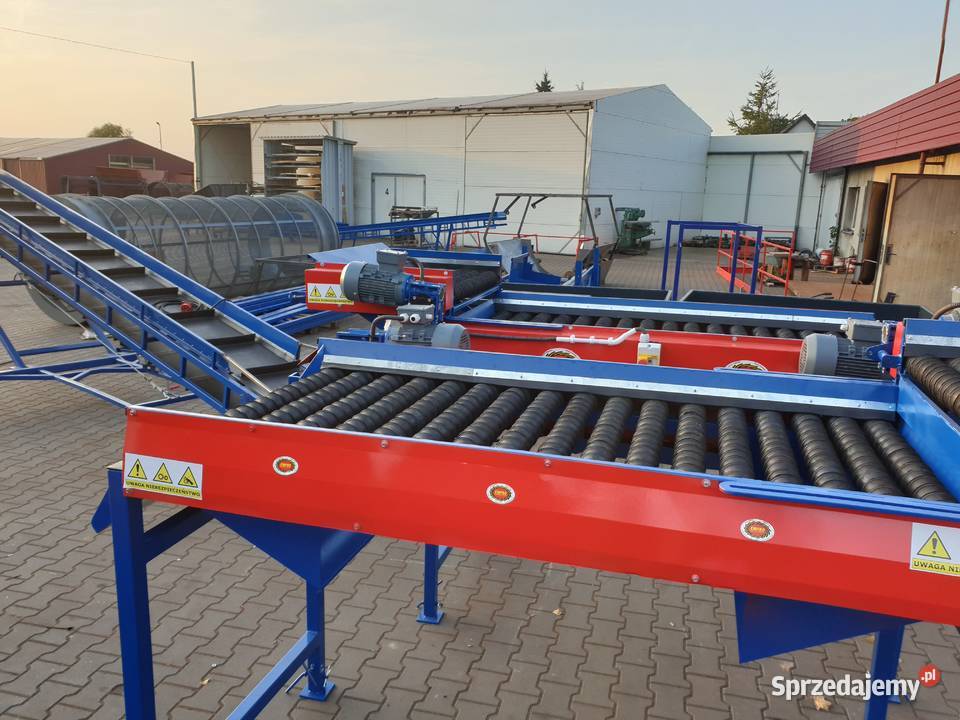 Sortownik przepływowy Separator Ziemniak Cebula Produkcja wielkopolskie Środa Wielkopolska