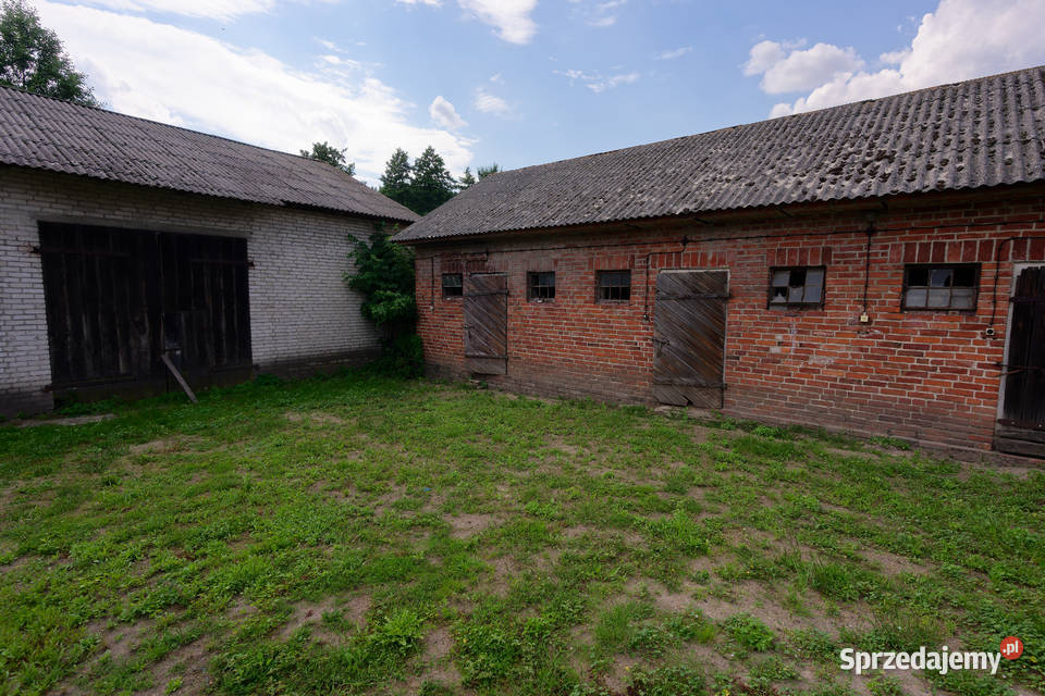 Sprzedam dom z siedliskiem 1024 m2 1024m2 Pałecznica